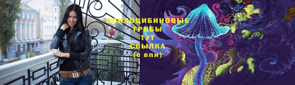 марки lsd Богородицк